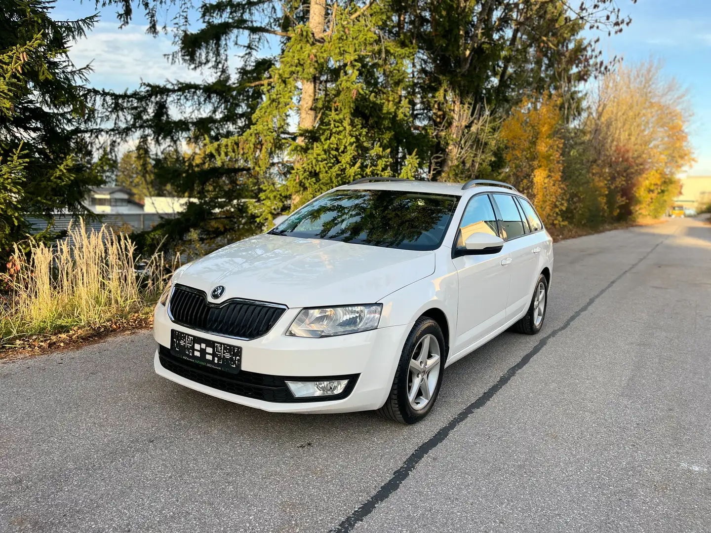 Skoda Octavia 1.6TDI Ambition 4x4 Allrad Weiß - 1