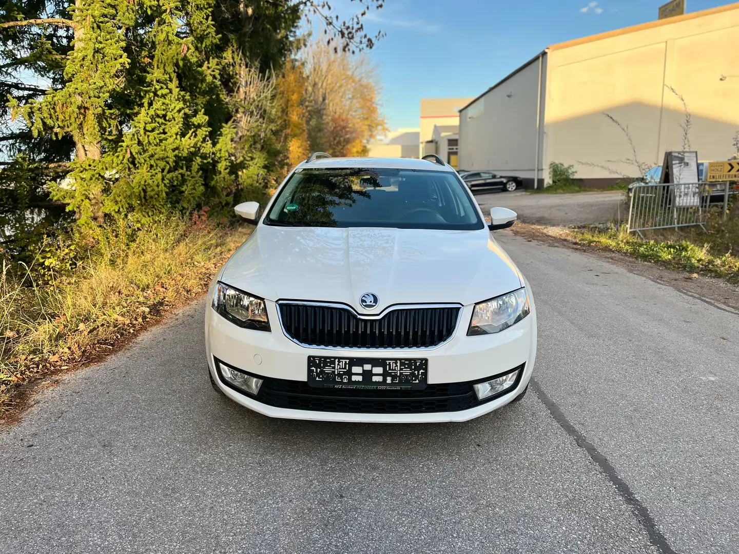 Skoda Octavia 1.6TDI Ambition 4x4 Allrad Weiß - 2