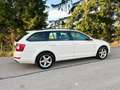 Skoda Octavia 1.6TDI Ambition 4x4 Allrad Weiß - thumbnail 11