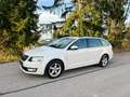 Skoda Octavia 1.6TDI Ambition 4x4 Allrad Weiß - thumbnail 4