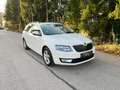 Skoda Octavia 1.6TDI Ambition 4x4 Allrad Weiß - thumbnail 13