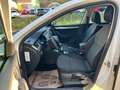 Skoda Octavia 1.6TDI Ambition 4x4 Allrad Weiß - thumbnail 15