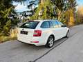 Skoda Octavia 1.6TDI Ambition 4x4 Allrad Weiß - thumbnail 10