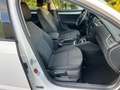 Skoda Octavia 1.6TDI Ambition 4x4 Allrad Weiß - thumbnail 30