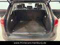Volkswagen Touareg 3.0 TDI BMT|AHK|PANO|XENON|STANDHZG|DAB+ Braun - thumbnail 9
