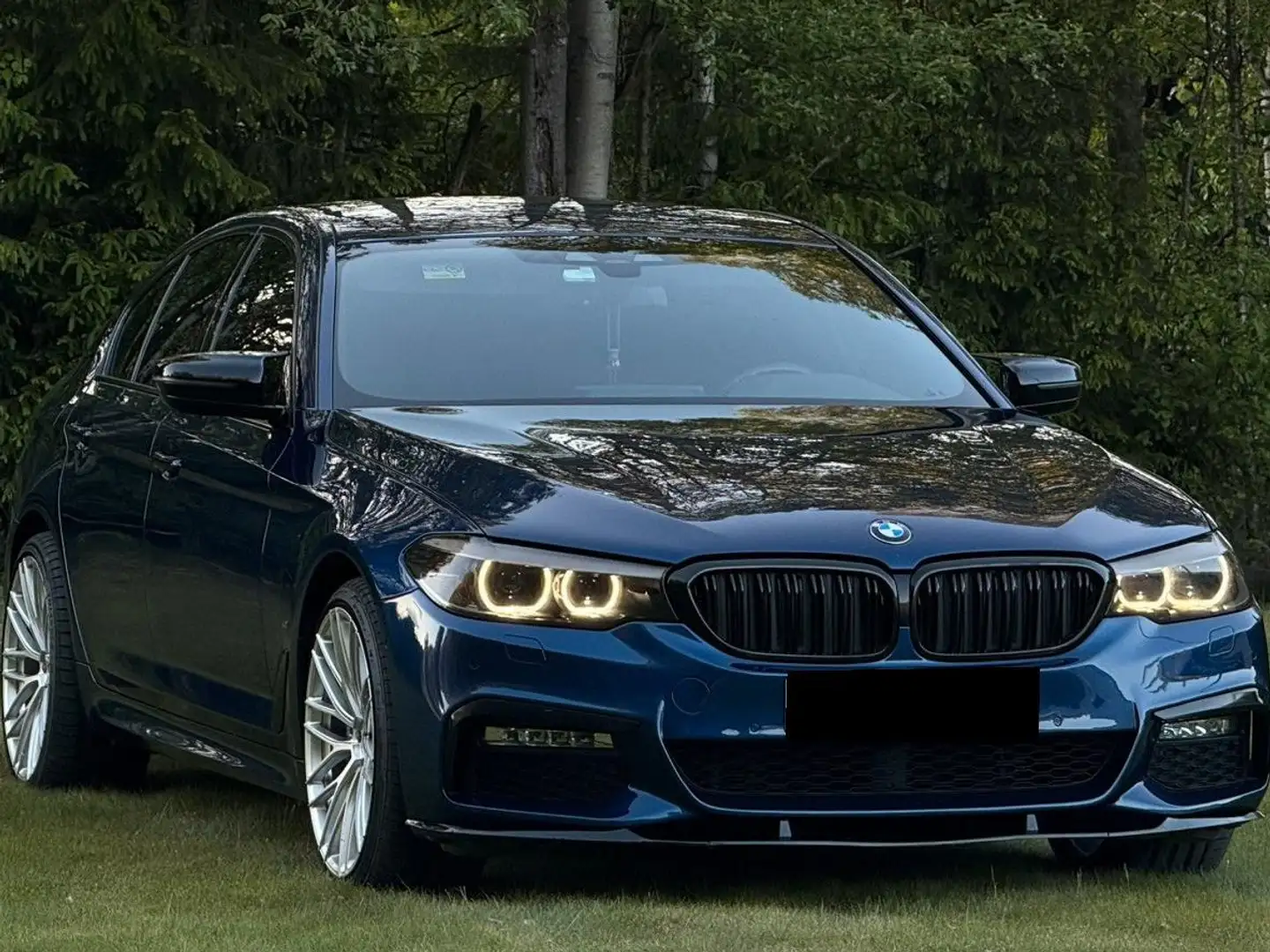 BMW 530 Paars - 2