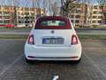Fiat 500C TÜV Neu Zahnrihme Neu - thumbnail 5