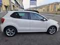 Volkswagen Polo 5p 1.6 tdi Comfortline 90cv Bianco - thumbnail 6