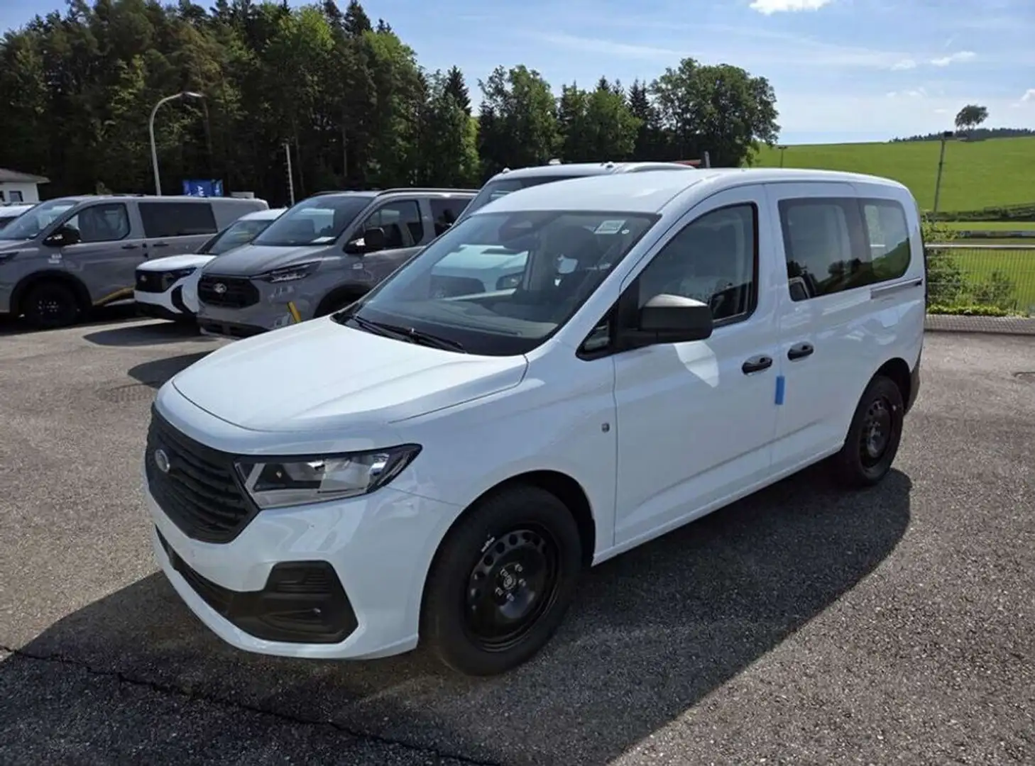 Ford Transit Connect FlexCab Trend Weiß - 1
