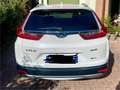 Honda CR-V CR-V V 2019 2.0 hev Elegance Navi awd ecvt Bianco - thumbnail 3