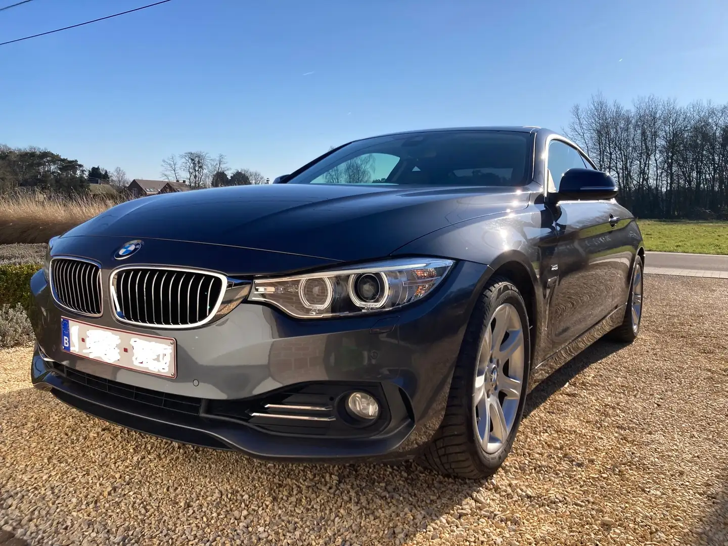 BMW 420 420i Coupe Aut. Luxury Line Gris - 1