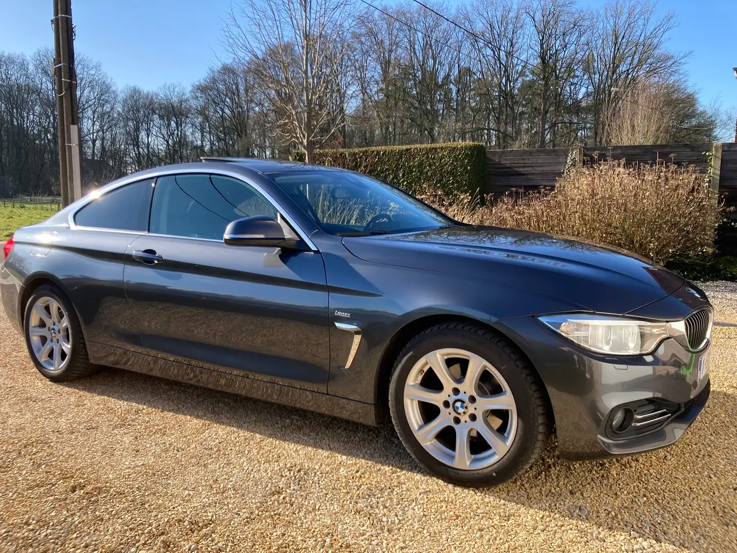 BMW 420 420i Coupe Aut. Luxury Line Gris - 2