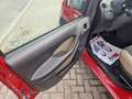 Fiat Panda Panda II 2003 1.3 mjt 16v Adventure 4x4 Rosso - thumbnail 5