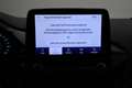 Ford Fiesta 1.0 EcoBoost Hybrid Titanium Climate, Cruise, Elek Grau - thumbnail 39