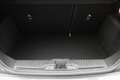 Ford Fiesta 1.0 EcoBoost Hybrid Titanium Climate, Cruise, Elek Grau - thumbnail 14