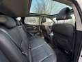 Nissan Qashqai 1.6 dCi 360 kamera , Panorama , vollleder Weiß - thumbnail 11