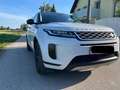 Land Rover Range Rover Evoque Range Rover Evoque 2,0 D150 S Aut. S Weiß - thumbnail 6