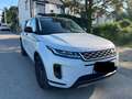 Land Rover Range Rover Evoque Range Rover Evoque 2,0 D150 S Aut. S Weiß - thumbnail 5