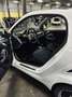 smart forTwo Smart fortwo Smart 451, 71 PS Mhd Weiß - thumbnail 15