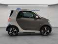 smart forTwo fortwo coupe EQ passion/Mattlack/22kW/Exclusive Grau - thumbnail 6