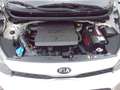 Kia Picanto 1.0 MPi 67PK AIRCO NL-AUTO 5-PERSOONS !! Wit - thumbnail 28
