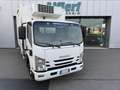 Isuzu NPR P60C15Frigo-20°C FRCX06 27 4150x2050x2000kg2280 Blanco - thumbnail 1