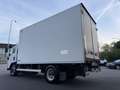 Isuzu NPR P60C15Frigo-20°C FRCX06 27 4150x2050x2000kg2280 Blanco - thumbnail 7