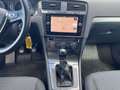 Volkswagen Golf Variant Golf VII Variant 1,6 TDI Blau - thumbnail 9