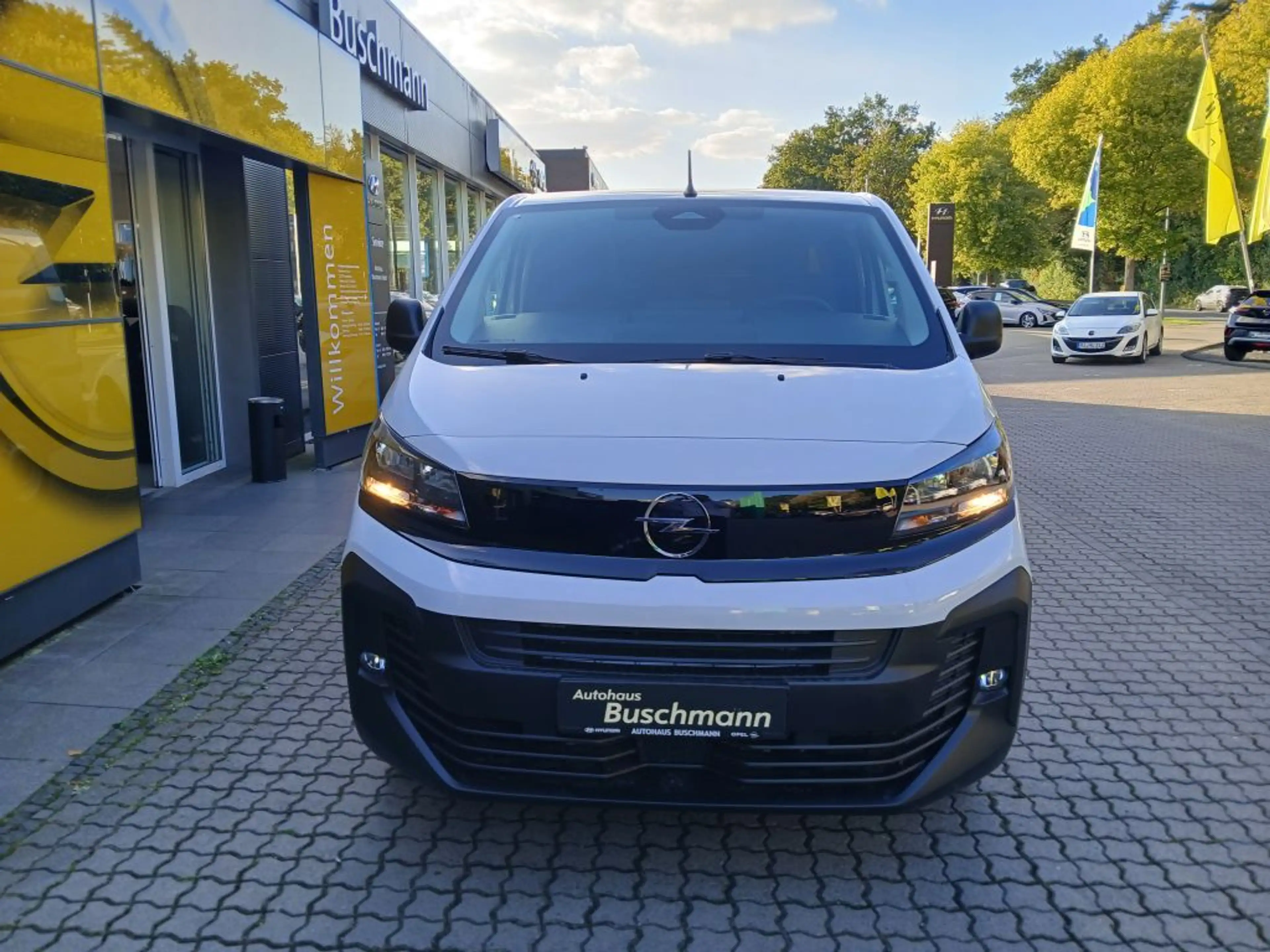 Opel Vivaro 2.2 Diesel 150 — photo 2