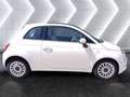 Fiat 500 1.3 mjt Lounge 95cv my18 Bianco - thumbnail 5