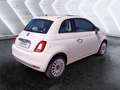 Fiat 500 1.3 mjt Lounge 95cv my18 Bianco - thumbnail 4