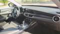 Alfa Romeo Stelvio Stelvio 2.2 D Sport Tech 160cv automatica Rosso - thumbnail 12