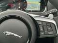 Jaguar F-Type F-TYPE R-Dynamic P300 Cabriolet  *Miete*Mietkauf Verde - thumbnail 14