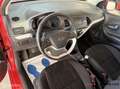 Kia Picanto 1.0 CVVT Comfort Pack Clima/Nap/1e EIG Rojo - thumbnail 3