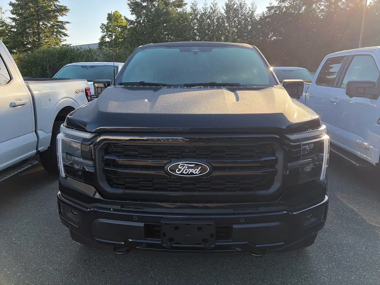 Ford F 150 fotografie Ford F 150