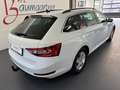 Skoda Superb Kombi 1,6TDI DSG *LED*NAVI*ACC*AHK*Rückfahrkame... Weiß - thumbnail 4