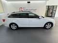 Skoda Superb Kombi 1,6TDI DSG *LED*NAVI*ACC*AHK*Rückfahrkame... Weiß - thumbnail 3