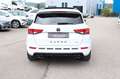 CUPRA Ateca 2.0 TSI Basis 4Drive_DCC_360°_Navi+_Pano_ Weiß - thumbnail 6