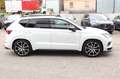 CUPRA Ateca 2.0 TSI Basis 4Drive_DCC_360°_Navi+_Pano_ Weiß - thumbnail 4
