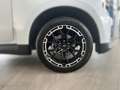 Ford Ranger Ranger Doppelkabine MSRT e-4WD 3,0 EcoBlue Aut.... Weiß - thumbnail 24