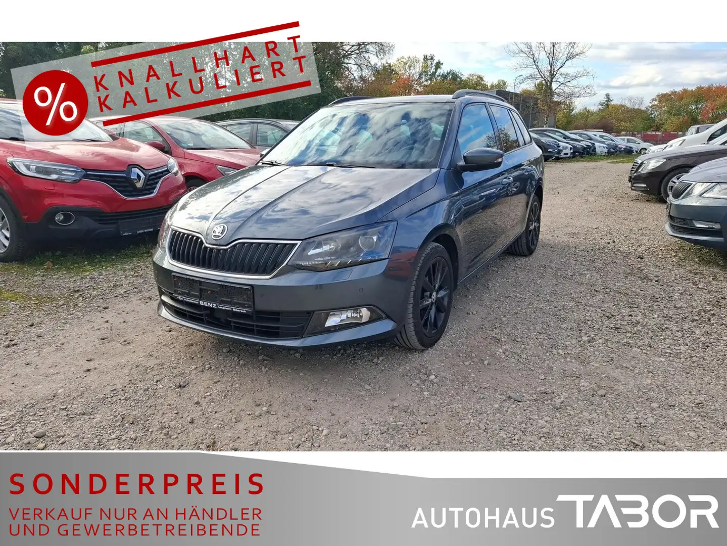 Skoda Fabia Combi 1.2 TSI DSG Style Pano PDC LM Lichta Grau - 1