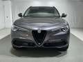 Alfa Romeo Stelvio 2.0 Turbo 200 CV AT8 Q4 B-Tech Gris - thumbnail 8