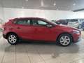 Volvo V40 Cross Country D3 150 Rojo - thumbnail 4