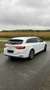 Renault Talisman Grandtour BLUE dCi 160 EDC BUSINESS EDITION - thumbnail 4