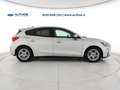 Ford Focus 1.5 ecoblue Business s&s 120cv my20.75 Silver - thumbnail 7
