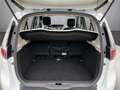 Renault Scenic III Auth. ( 77Tkm* Euro 6* TÜV neu ) Blanco - thumbnail 13