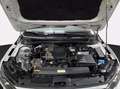 Volkswagen Polo 5p 1.0 evo comfortline 80cv Blanc - thumbnail 10