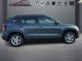 Skoda Karoq Allrad Rückfahrkamera Grau - thumbnail 5