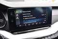 Skoda Octavia 2.0 TDI 116 AMBITION Blau - thumbnail 42