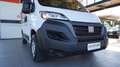 Fiat Ducato 30 2.2 Mjt 140CV PC-TN Panorama Wit - thumbnail 11